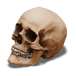 BigOrnamental skull.png