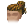 Northern Guardian hairstyle.png