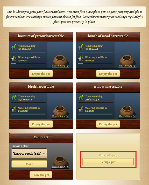 My seeds and cuttings placing a pot.png