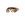 Radiant Crown.png