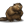 Beaver.png