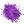 Violetcolouring.png