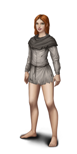 Shirt-shaped ragsF.png