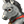 Belled grey-dun baby donkey.png