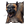 Item1654.png