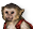 Capuchin monkey.png