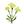 Bunch of woad.png