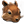 Squirrel.png