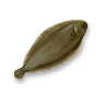 Sole.png