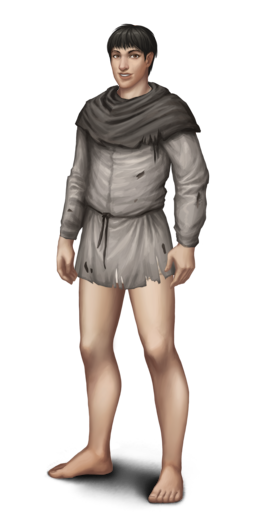 Shirt-shaped ragsM.png