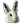 ArticHare.png