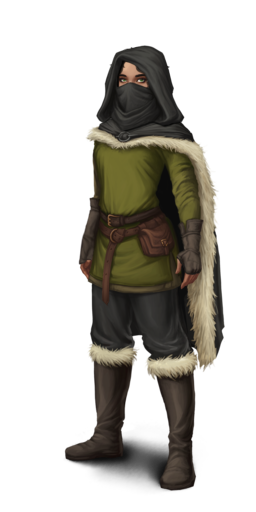 Night Fox outfit cloak+mask greenF.png