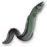 Eel.png
