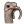 Ostrich.png