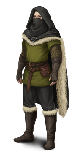 Night Fox outfit cloak+mask greenM.png