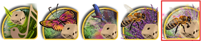 Corner Icon Summer Festival 2026.png
