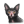 Lykoi.png