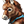 Belled cafe au lait baby donkey.png