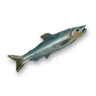 Herring.png