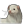 Snow ferret.png