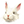 Rabbit.png