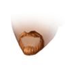 Original beard n4.png