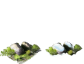 Thumbnail for version as of 22:52, 18 May 2025
