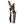Northern Guardian staff.png