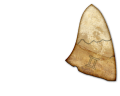 Thumbnail for version as of 00:49, 7 June 2025
