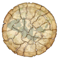 Thumbnail for version as of 00:17, 7 June 2025